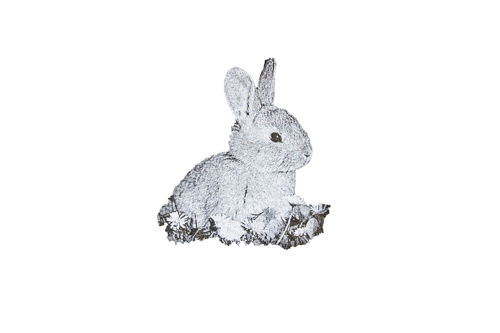 Camille Bovat's Work