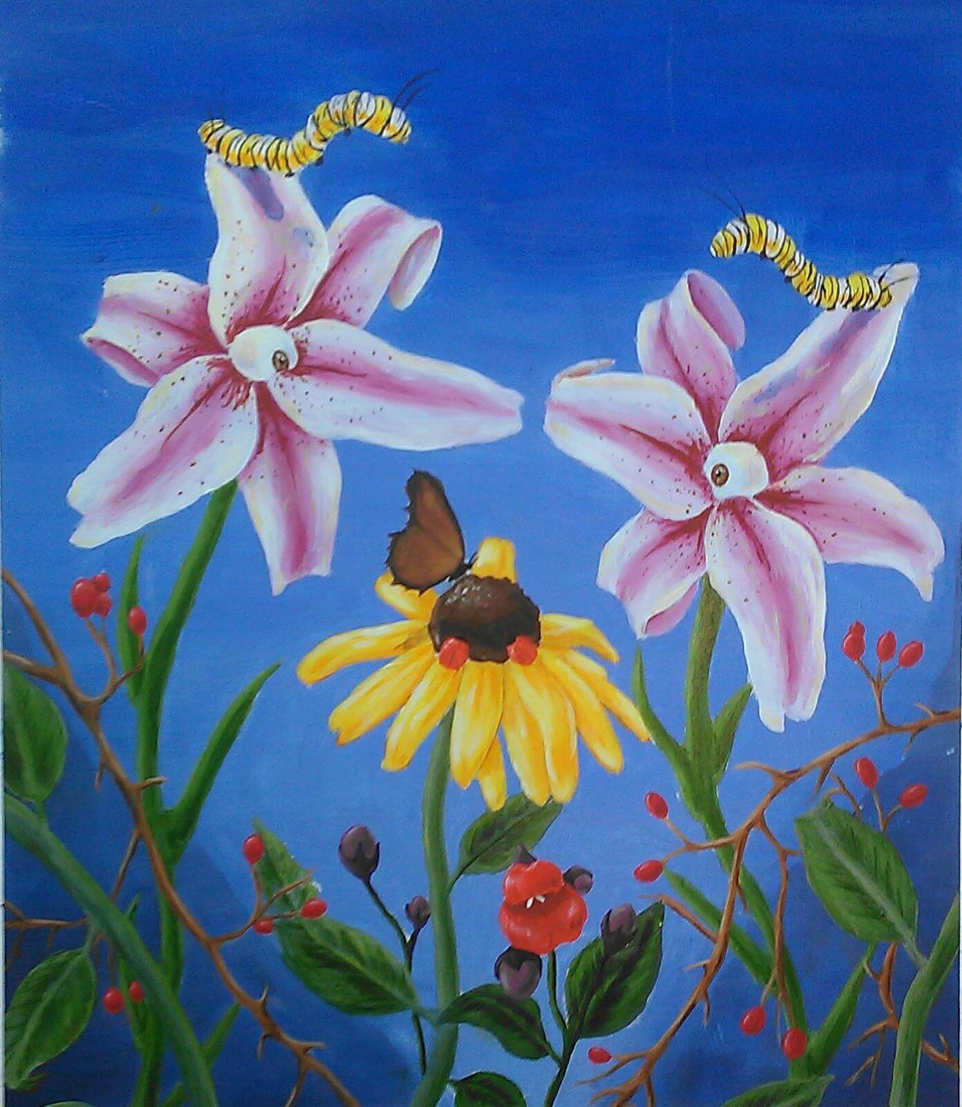 Sarah Anastasio's Work