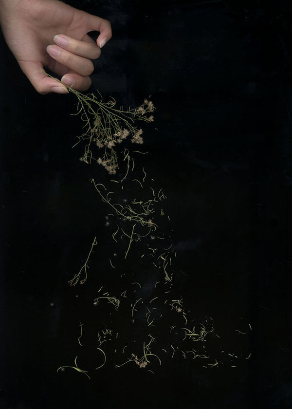 Yulin Wu's Work